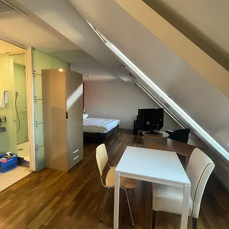 Swiss Star Irchel - Self Check-in Apartment *